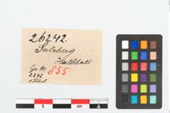 Etikett zu Bronzebogenfibel (NHMW-PRAE-026242)